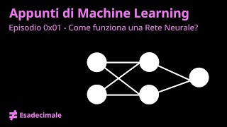 Come Funziona una Rete Neurale?